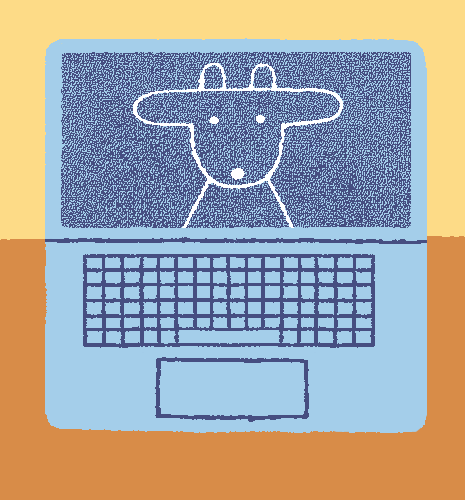 老年人智能手机使用入门教程案例